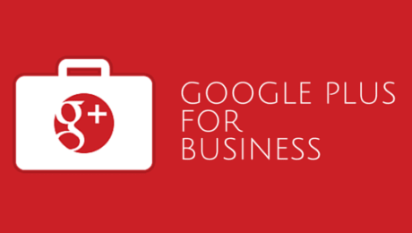 Usare Google Plus per il Business. Guida Rapida